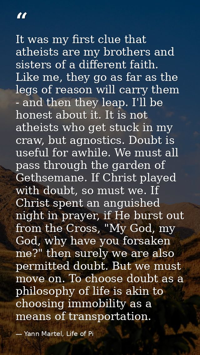 It was my first clue that atheists are my brothers and sisters of a different faith. Like me, they go as far as the legs — Yann Martel, Life of Pi