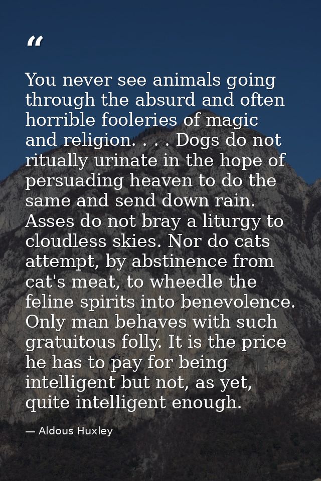 You never see animals going through the absurd and often horrible fooleries of magic and religion. . . . Dogs do not rit — Aldous Huxley