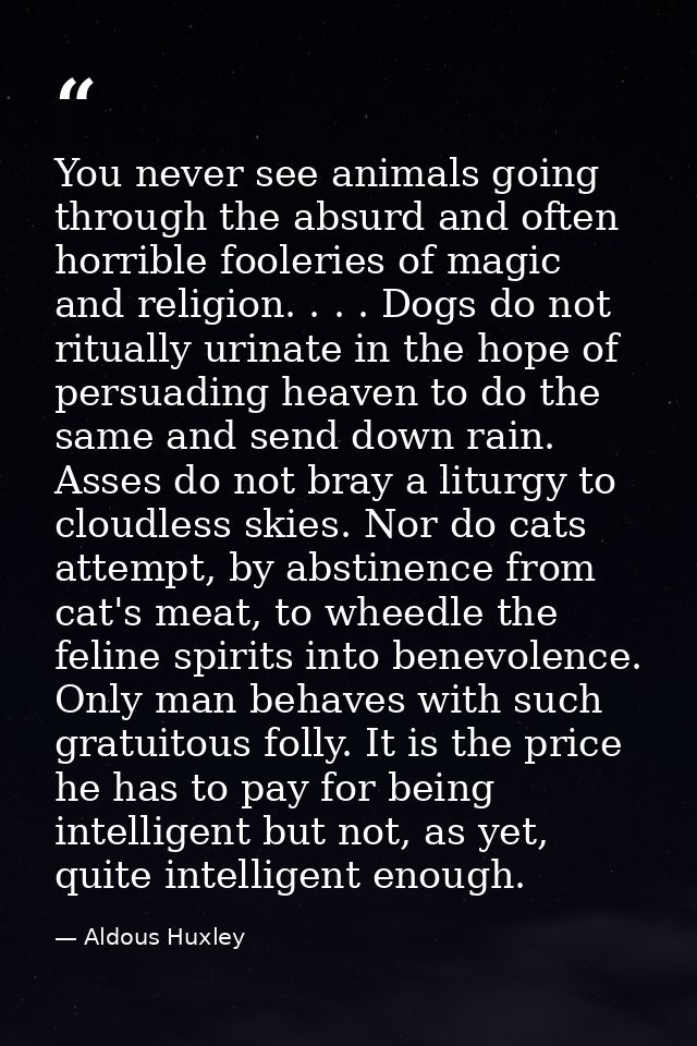 You never see animals going through the absurd and often horrible fooleries of magic and religion. . . . Dogs do not rit — Aldous Huxley