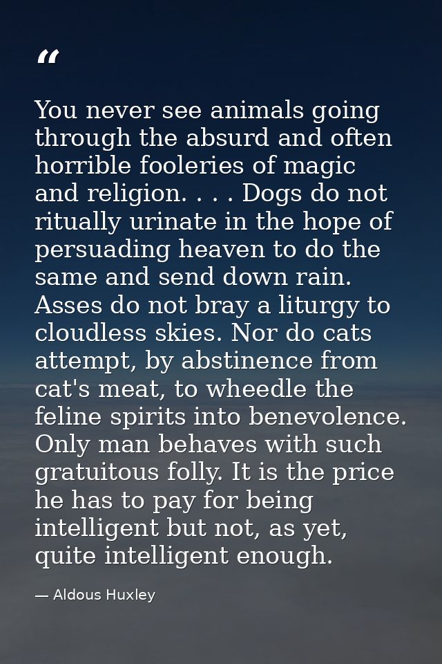 You never see animals going through the absurd and often horrible fooleries of magic and religion. . . . Dogs do not rit — Aldous Huxley