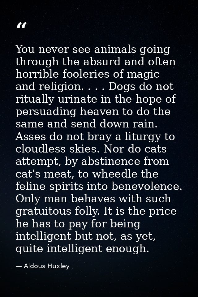 You never see animals going through the absurd and often horrible fooleries of magic and religion. . . . Dogs do not rit — Aldous Huxley