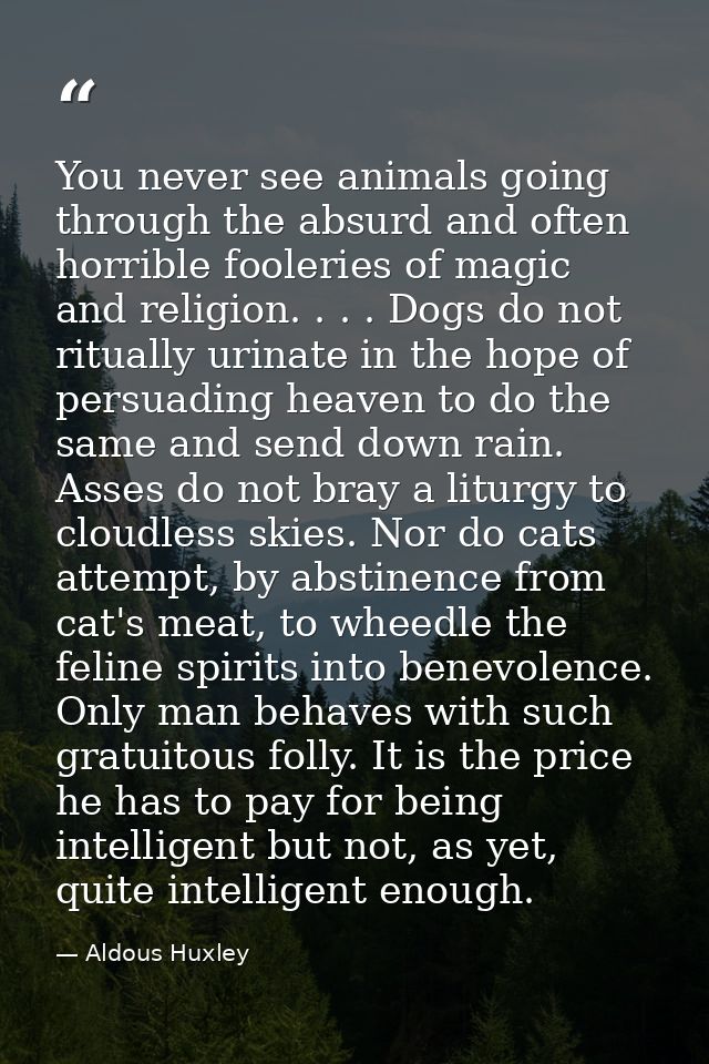 You never see animals going through the absurd and often horrible fooleries of magic and religion. . . . Dogs do not rit — Aldous Huxley