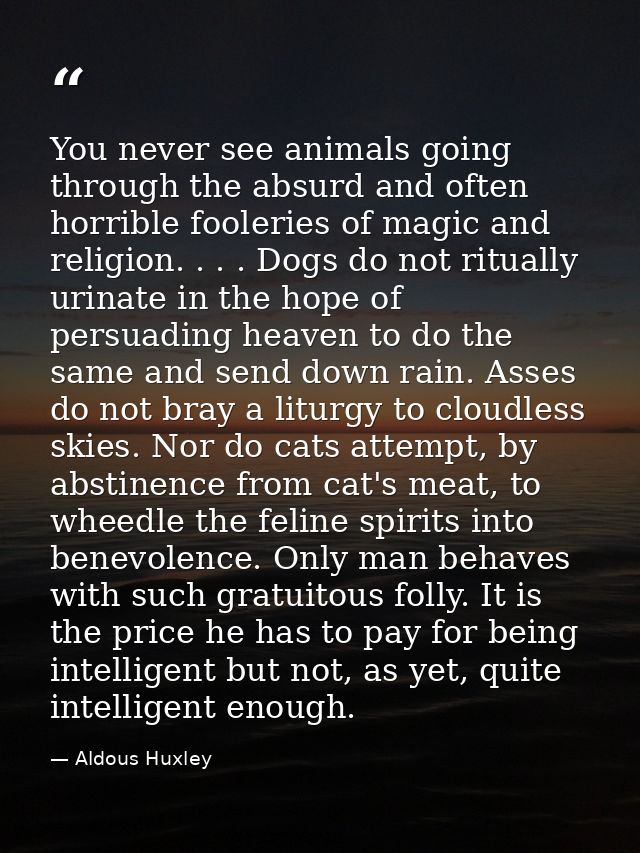 You never see animals going through the absurd and often horrible fooleries of magic and religion. . . . Dogs do not rit — Aldous Huxley