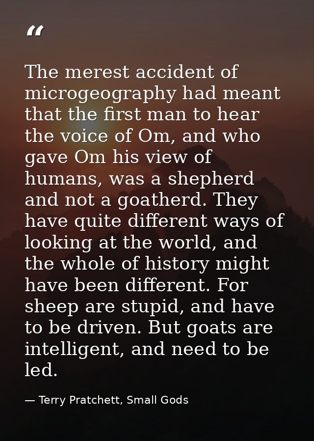 The merest accident of microgeography had meant that the first man to hear the voice of Om, and who gave Om his view of  — Terry Pratchett, Small Gods