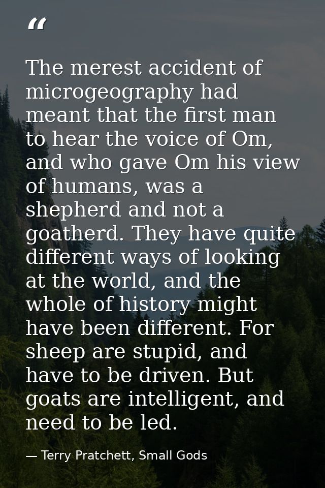 The merest accident of microgeography had meant that the first man to hear the voice of Om, and who gave Om his view of  — Terry Pratchett, Small Gods