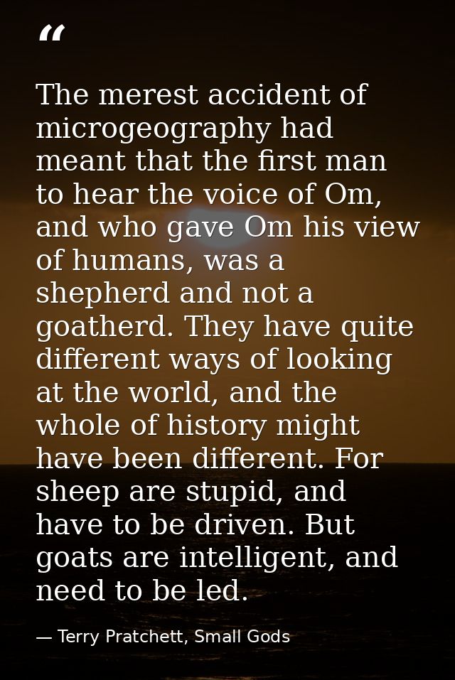 The merest accident of microgeography had meant that the first man to hear the voice of Om, and who gave Om his view of  — Terry Pratchett, Small Gods
