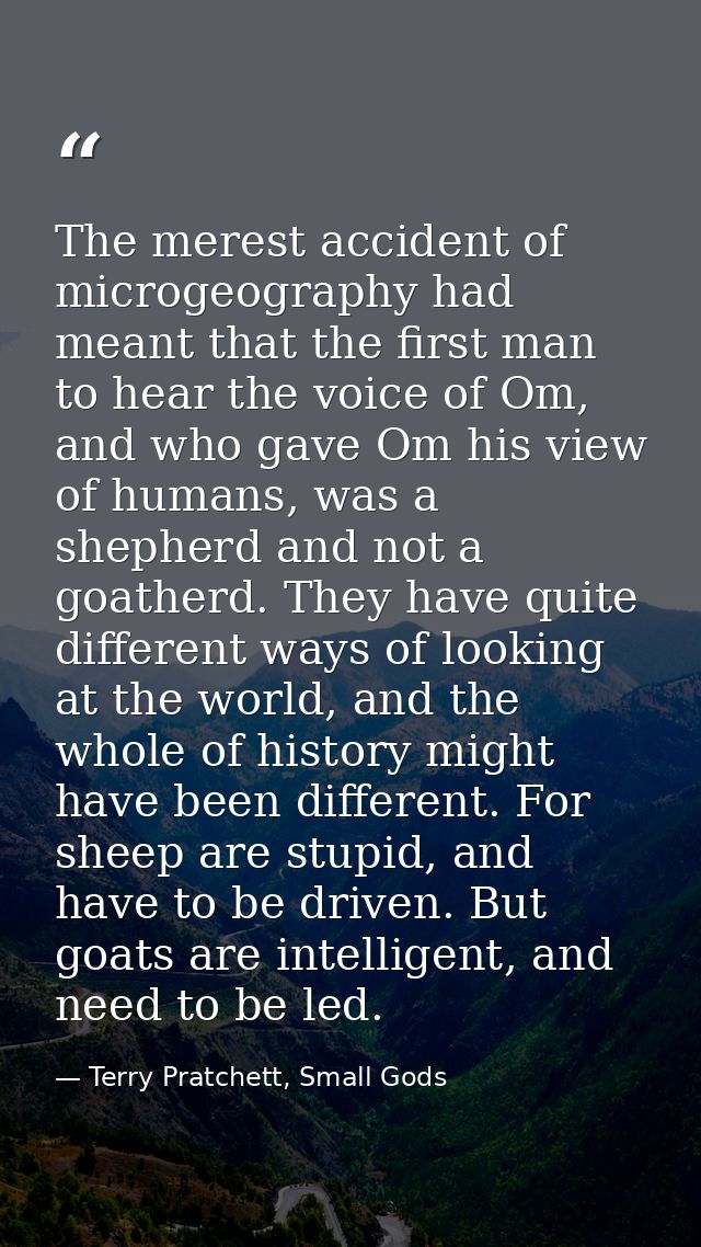 The merest accident of microgeography had meant that the first man to hear the voice of Om, and who gave Om his view of  — Terry Pratchett, Small Gods
