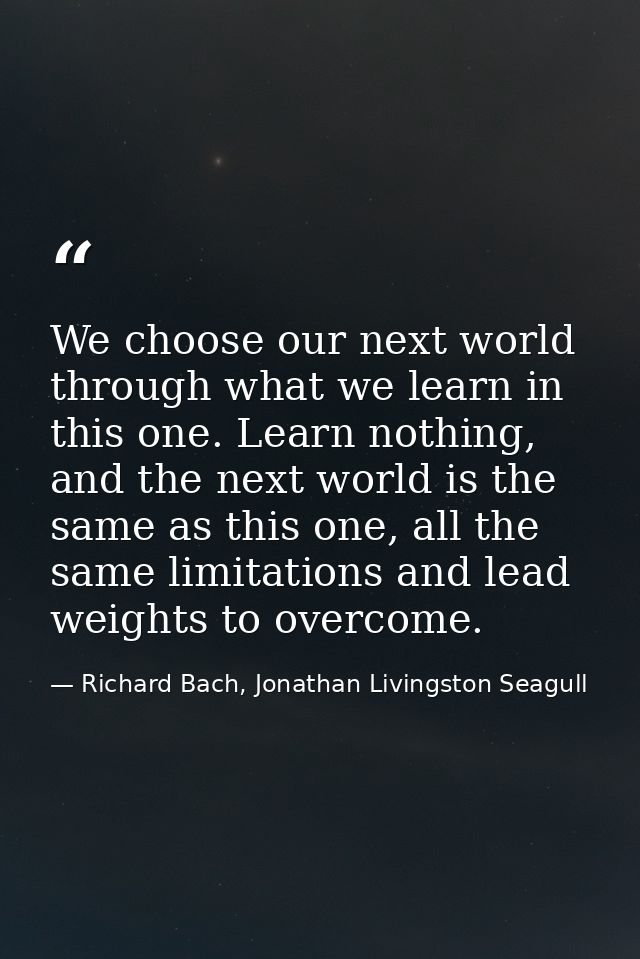 We choose our next world through what we learn in this one. Learn nothing, and the next world is the same as this one, a — Richard Bach, Jonathan Livingston Seagull