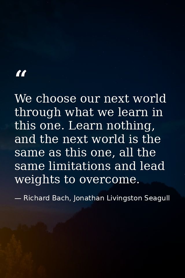 We choose our next world through what we learn in this one. Learn nothing, and the next world is the same as this one, a — Richard Bach, Jonathan Livingston Seagull