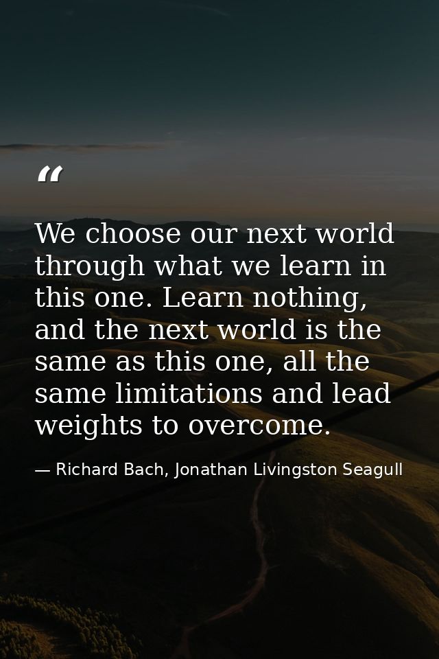 We choose our next world through what we learn in this one. Learn nothing, and the next world is the same as this one, a — Richard Bach, Jonathan Livingston Seagull