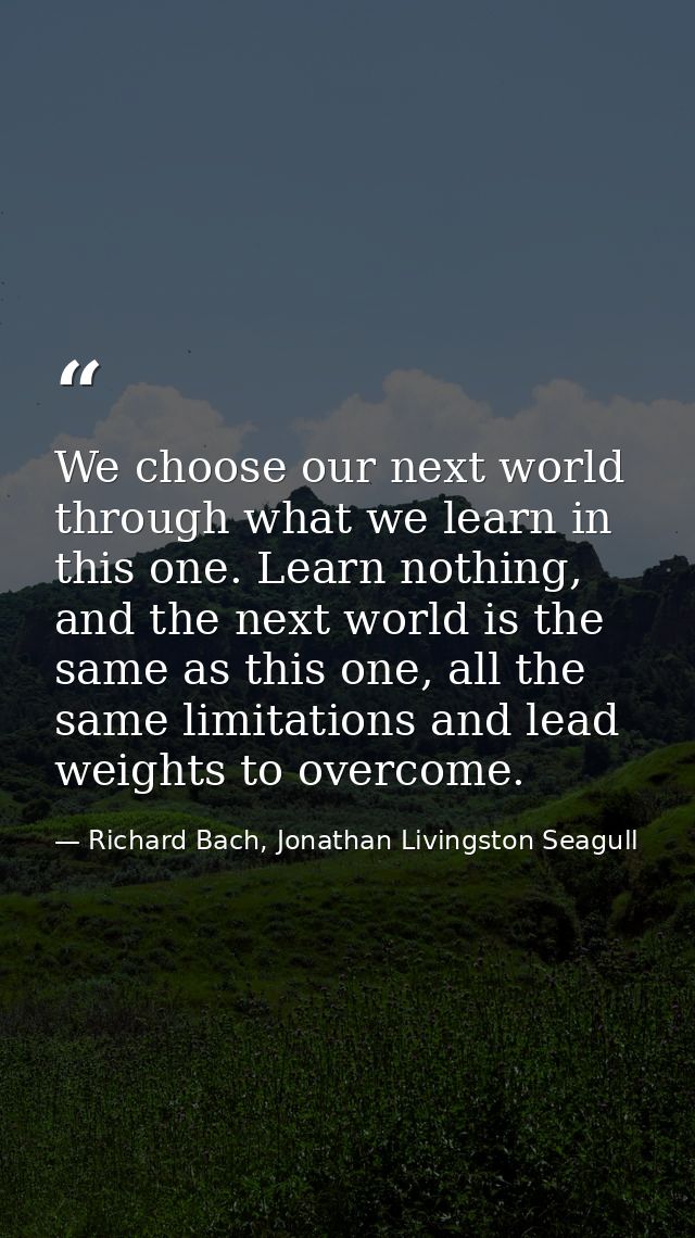 We choose our next world through what we learn in this one. Learn nothing, and the next world is the same as this one, a — Richard Bach, Jonathan Livingston Seagull