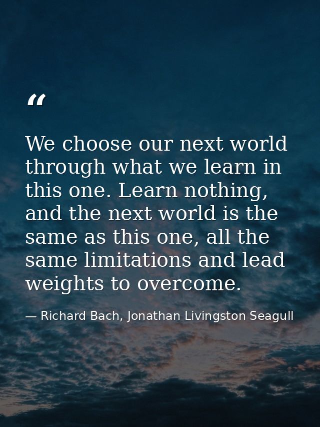We choose our next world through what we learn in this one. Learn nothing, and the next world is the same as this one, a — Richard Bach, Jonathan Livingston Seagull