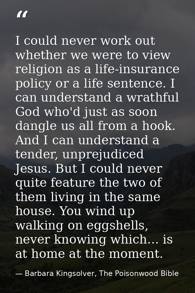 I could never work out whether we were to view religion as a life-insurance policy or a life sentence. I can understand  — Barbara Kingsolver, The Poisonwood Bible