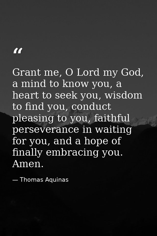Grant me, O Lord my God, a mind to know you, a heart to seek you, wisdom to find you, conduct pleasing to you, faithful  — Thomas Aquinas