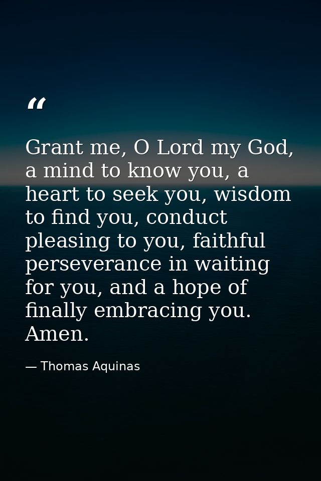 Grant me, O Lord my God, a mind to know you, a heart to seek you, wisdom to find you, conduct pleasing to you, faithful  — Thomas Aquinas