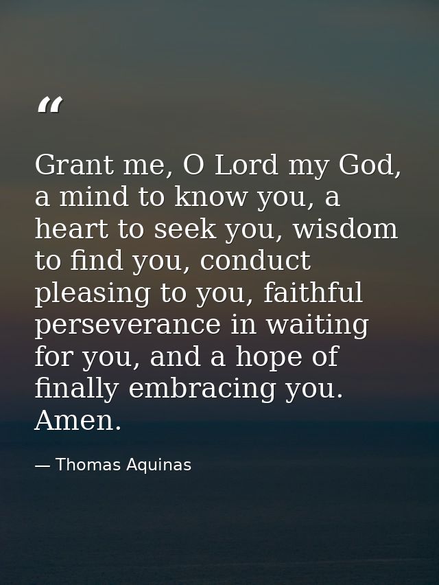 Grant me, O Lord my God, a mind to know you, a heart to seek you, wisdom to find you, conduct pleasing to you, faithful  — Thomas Aquinas