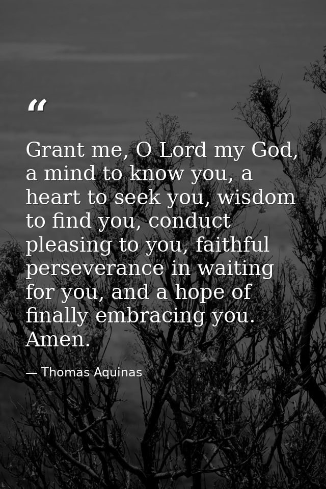 Grant me, O Lord my God, a mind to know you, a heart to seek you, wisdom to find you, conduct pleasing to you, faithful  — Thomas Aquinas