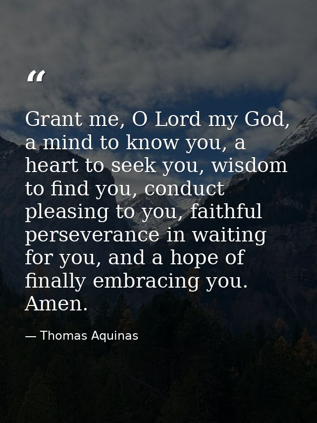 Grant me, O Lord my God, a mind to know you, a heart to seek you, wisdom to find you, conduct pleasing to you, faithful  — Thomas Aquinas