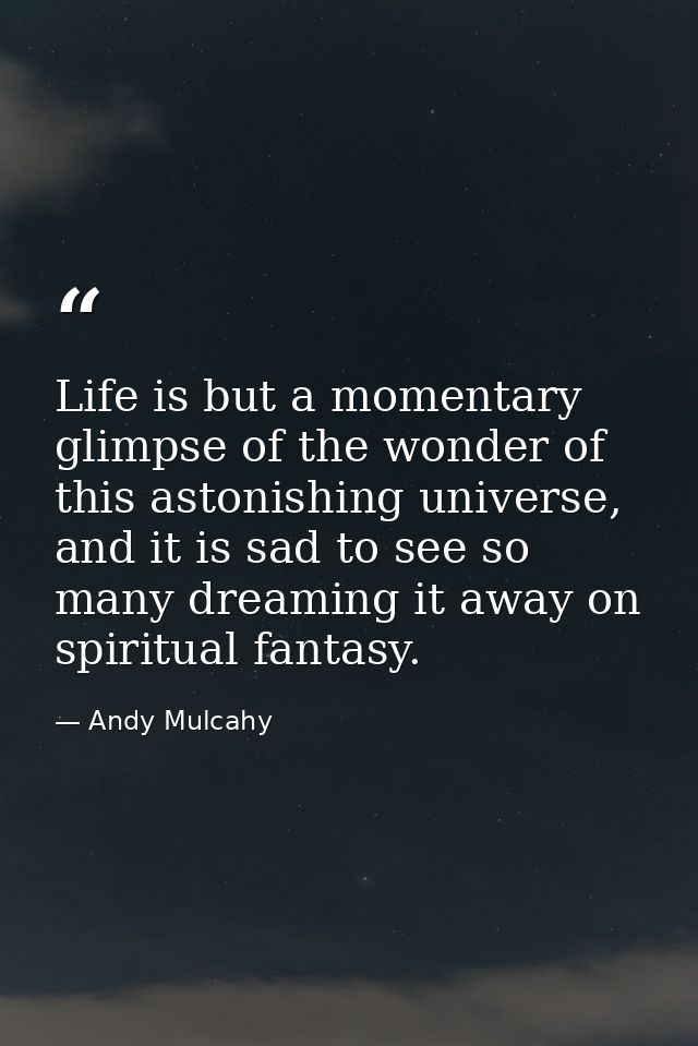Life is but a momentary glimpse of the wonder of this astonishing universe, and it is sad to see so many dreaming it awa — Andy Mulcahy