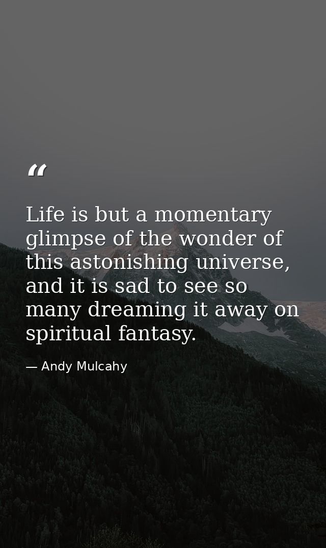 Life is but a momentary glimpse of the wonder of this astonishing universe, and it is sad to see so many dreaming it awa — Andy Mulcahy