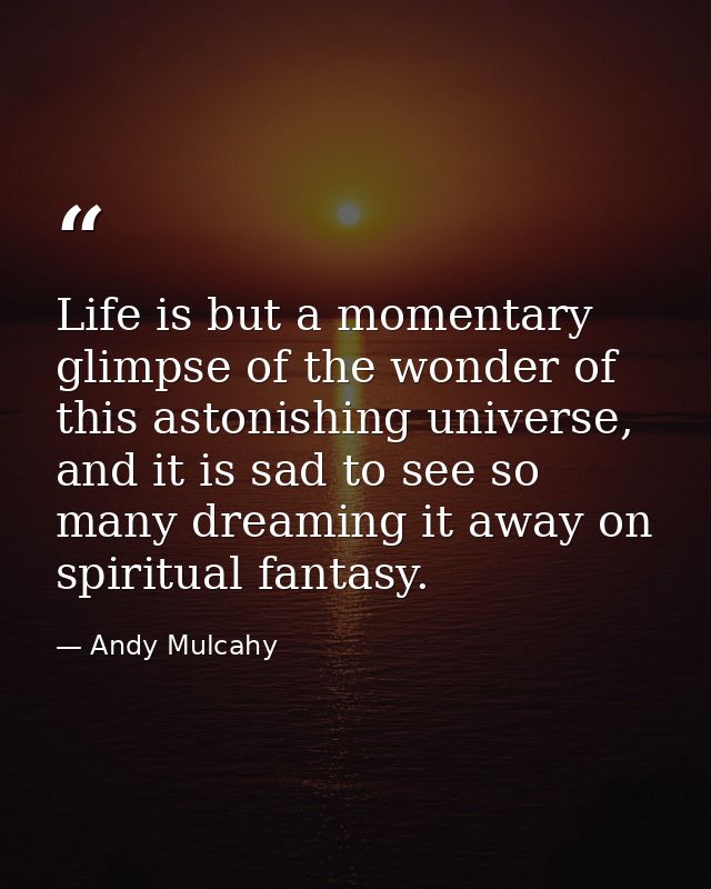 Life is but a momentary glimpse of the wonder of this astonishing universe, and it is sad to see so many dreaming it awa — Andy Mulcahy