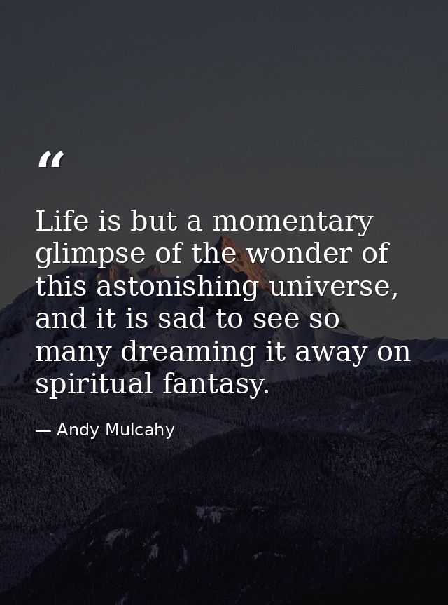 Life is but a momentary glimpse of the wonder of this astonishing universe, and it is sad to see so many dreaming it awa — Andy Mulcahy