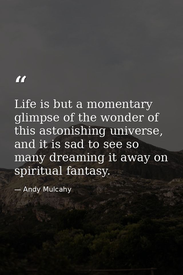 Life is but a momentary glimpse of the wonder of this astonishing universe, and it is sad to see so many dreaming it awa — Andy Mulcahy