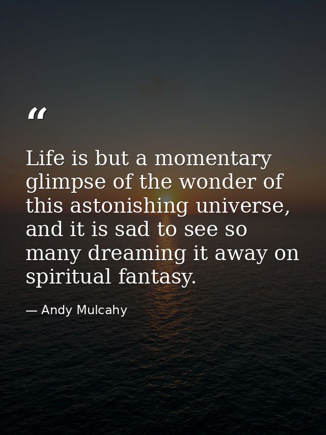 Life is but a momentary glimpse of the wonder of this astonishing universe, and it is sad to see so many dreaming it awa — Andy Mulcahy