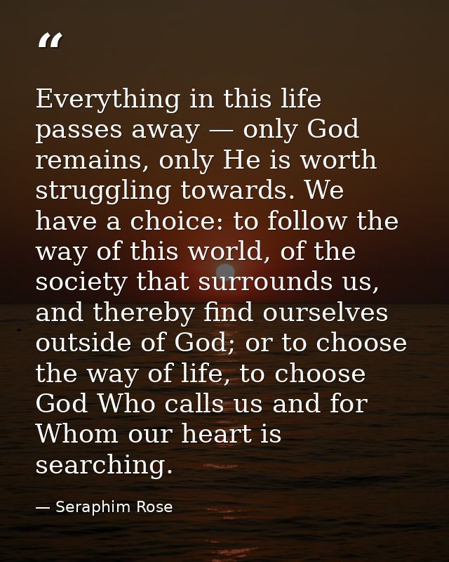Everything in this life passes away — only God remains, only He is worth struggling towards. We have a choice: to follow — Seraphim Rose
