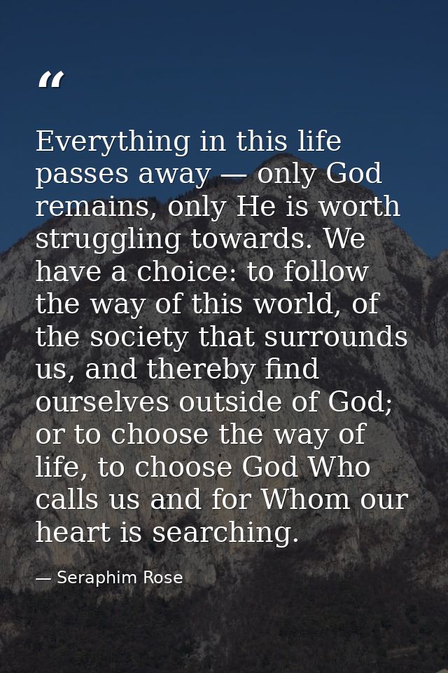 Everything in this life passes away — only God remains, only He is worth struggling towards. We have a choice: to follow — Seraphim Rose