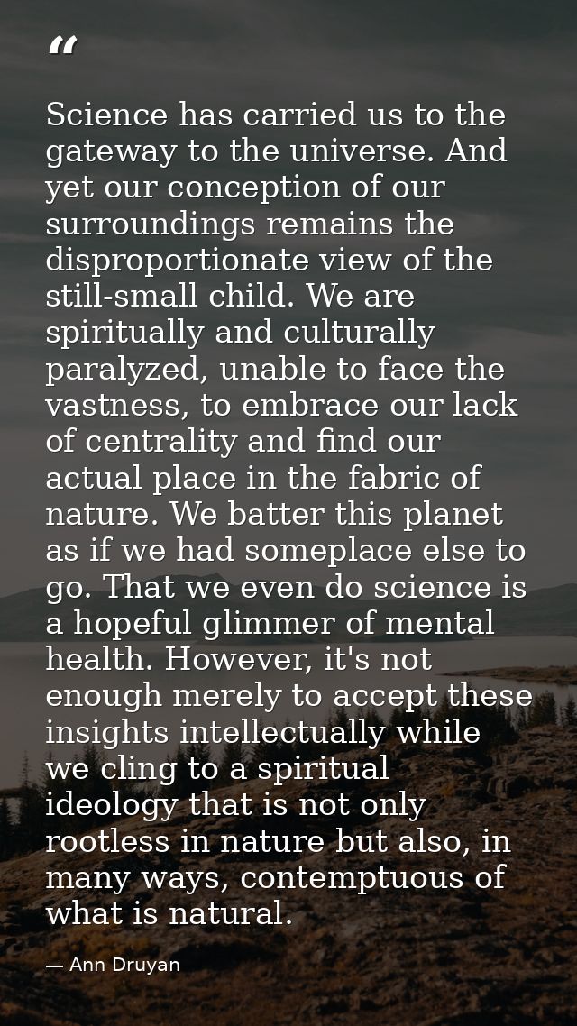 Science has carried us to the gateway to the universe. And yet our conception of our surroundings remains the disproport — Ann Druyan