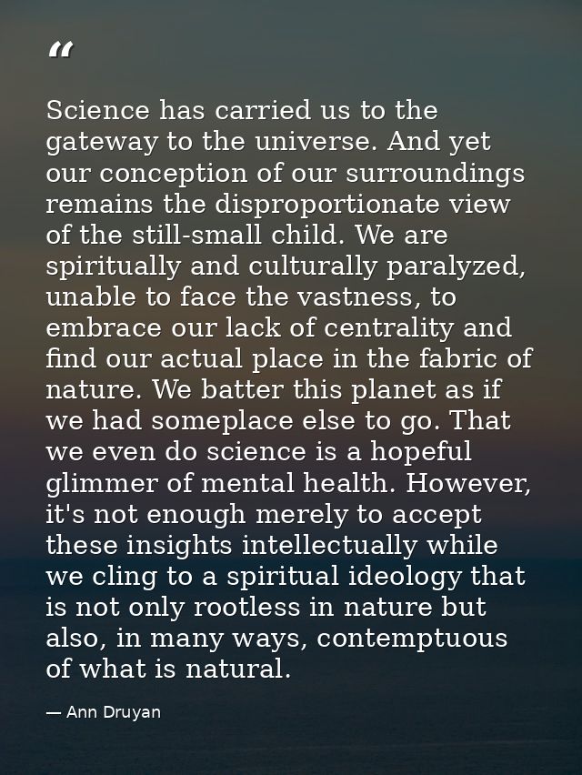 Science has carried us to the gateway to the universe. And yet our conception of our surroundings remains the disproport — Ann Druyan