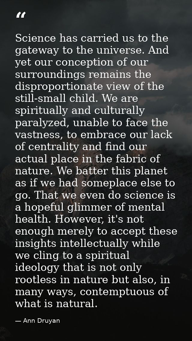 Science has carried us to the gateway to the universe. And yet our conception of our surroundings remains the disproport — Ann Druyan