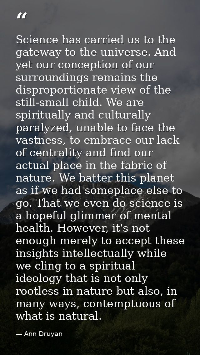 Science has carried us to the gateway to the universe. And yet our conception of our surroundings remains the disproport — Ann Druyan