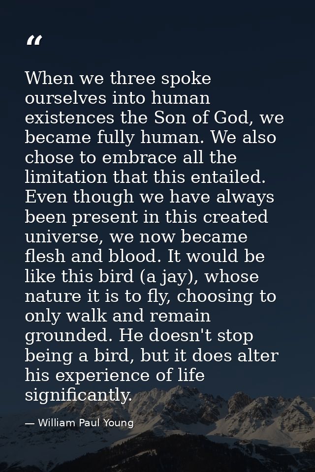When we three spoke ourselves into human existences the Son of God, we became fully human. We also chose to embrace all  — William Paul Young