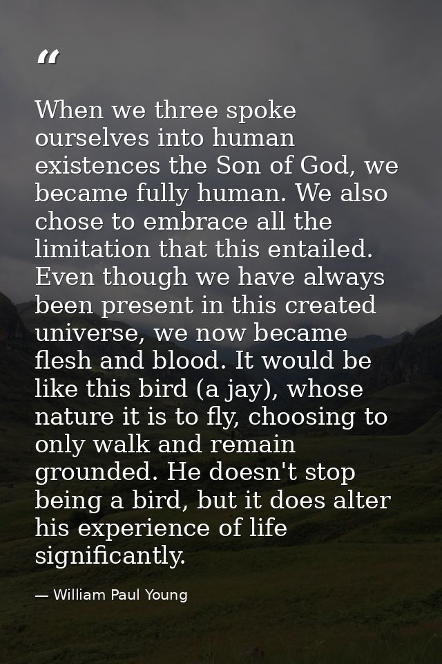 When we three spoke ourselves into human existences the Son of God, we became fully human. We also chose to embrace all  — William Paul Young