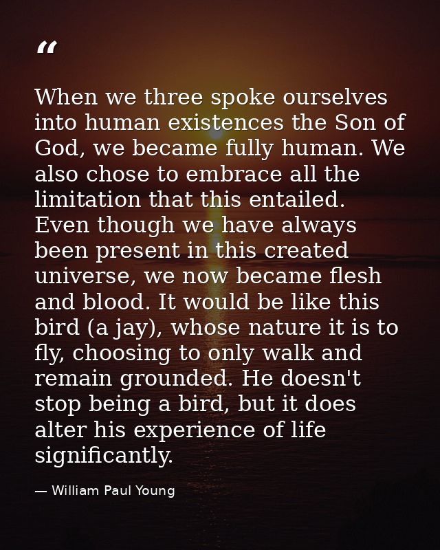 When we three spoke ourselves into human existences the Son of God, we became fully human. We also chose to embrace all  — William Paul Young