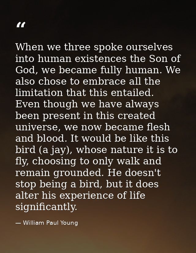 When we three spoke ourselves into human existences the Son of God, we became fully human. We also chose to embrace all  — William Paul Young