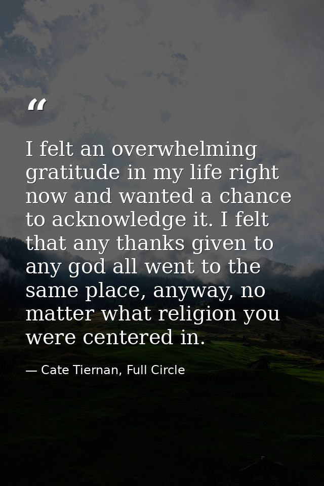 I felt an overwhelming gratitude in my life right now and wanted a chance to acknowledge it. I felt that any thanks give — Cate Tiernan, Full Circle