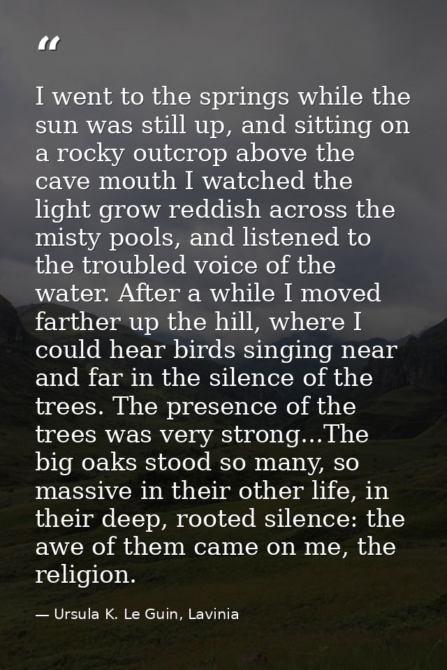 I went to the springs while the sun was still up, and sitting on a rocky outcrop above the cave mouth I watched the ligh — Ursula K. Le Guin, Lavinia