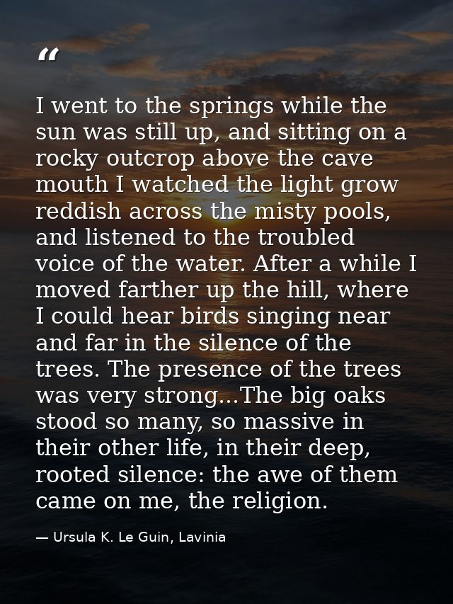 I went to the springs while the sun was still up, and sitting on a rocky outcrop above the cave mouth I watched the ligh — Ursula K. Le Guin, Lavinia