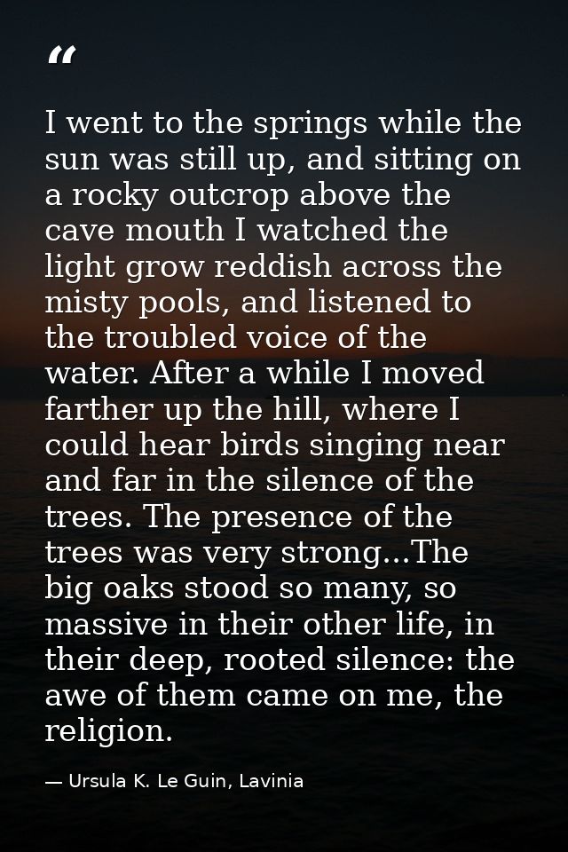 I went to the springs while the sun was still up, and sitting on a rocky outcrop above the cave mouth I watched the ligh — Ursula K. Le Guin, Lavinia