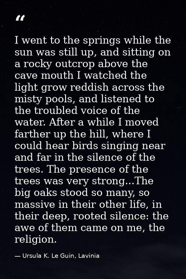 I went to the springs while the sun was still up, and sitting on a rocky outcrop above the cave mouth I watched the ligh — Ursula K. Le Guin, Lavinia