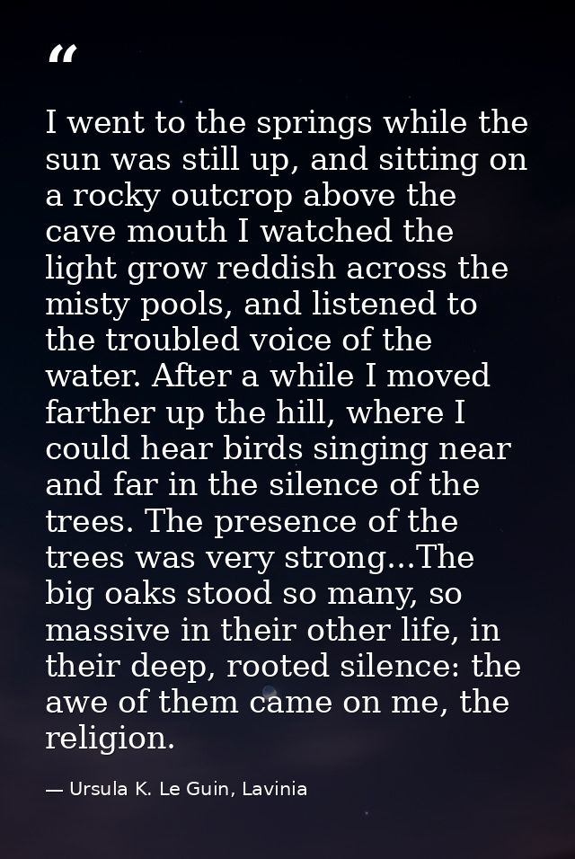 I went to the springs while the sun was still up, and sitting on a rocky outcrop above the cave mouth I watched the ligh — Ursula K. Le Guin, Lavinia