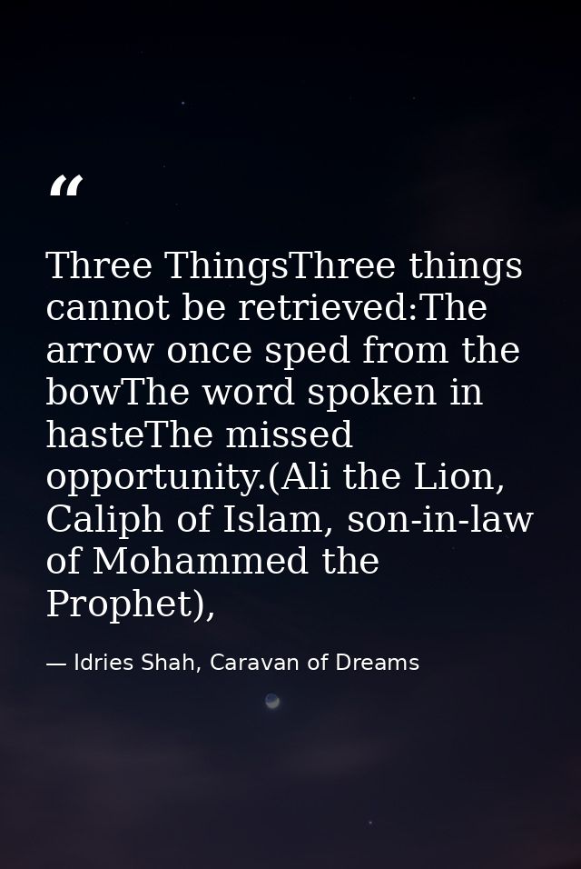 Three ThingsThree things cannot be retrieved:The arrow once sped from the bowThe word spoken in hasteThe missed opportun — Idries Shah, Caravan of Dreams