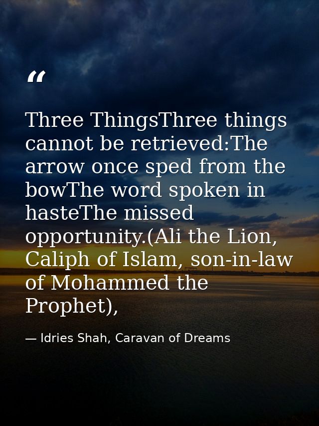 Three ThingsThree things cannot be retrieved:The arrow once sped from the bowThe word spoken in hasteThe missed opportun — Idries Shah, Caravan of Dreams