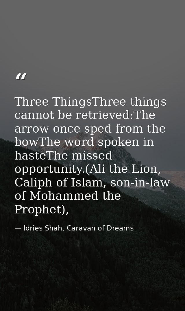 Three ThingsThree things cannot be retrieved:The arrow once sped from the bowThe word spoken in hasteThe missed opportun — Idries Shah, Caravan of Dreams