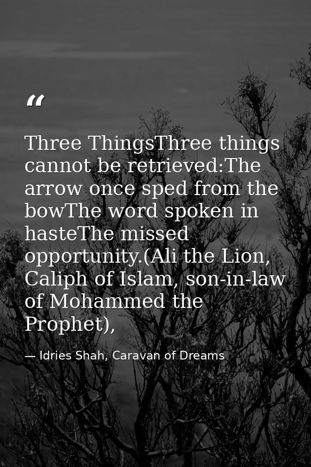 Three ThingsThree things cannot be retrieved:The arrow once sped from the bowThe word spoken in hasteThe missed opportun — Idries Shah, Caravan of Dreams