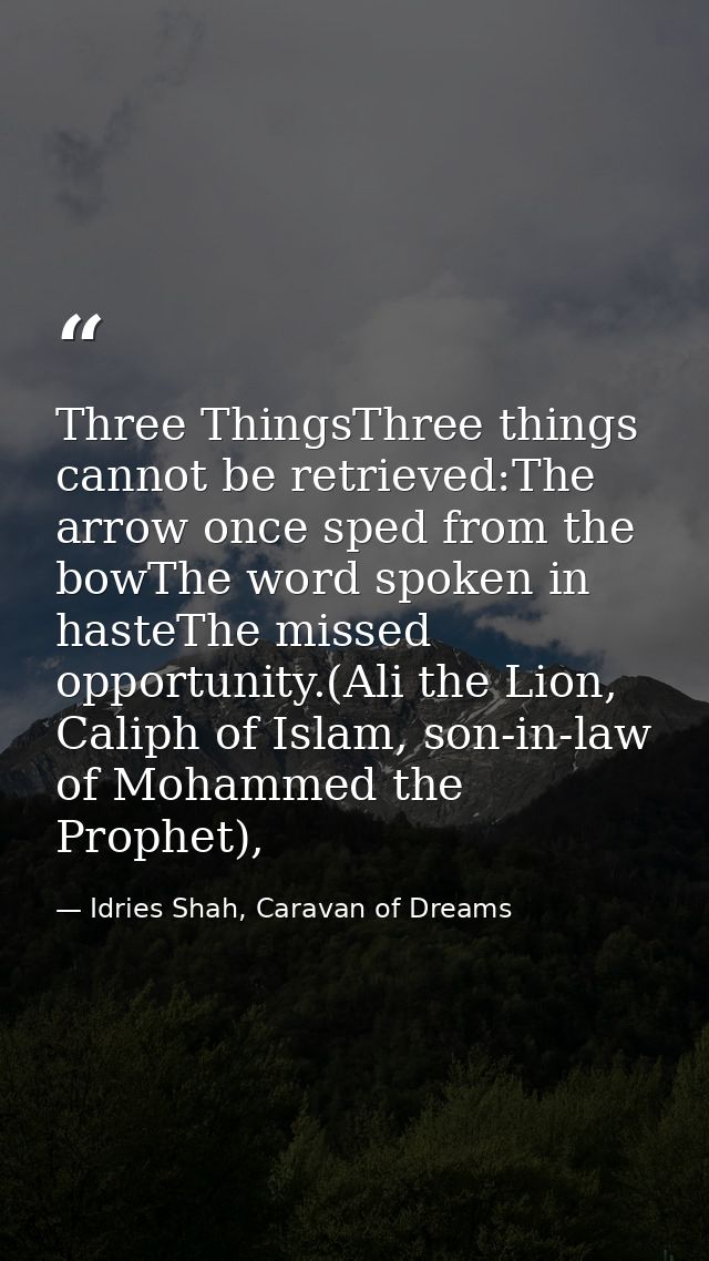 Three ThingsThree things cannot be retrieved:The arrow once sped from the bowThe word spoken in hasteThe missed opportun — Idries Shah, Caravan of Dreams