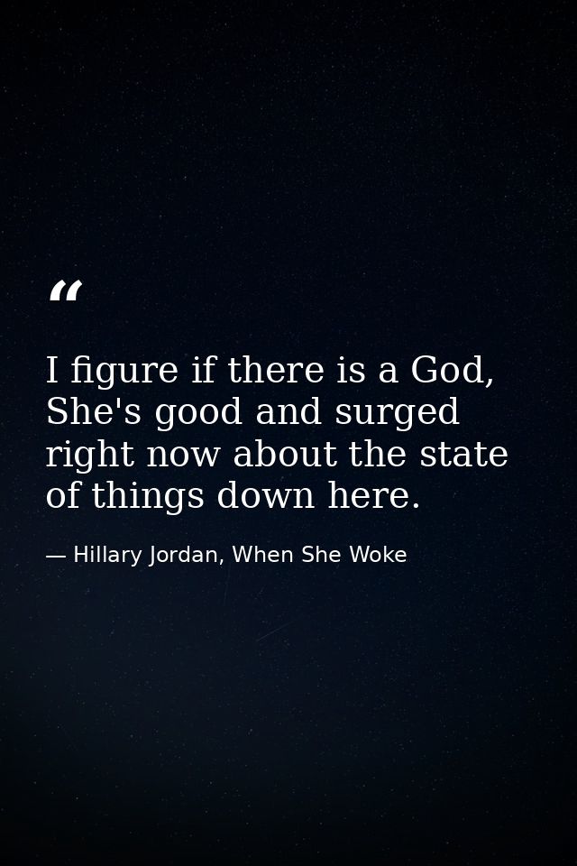 I figure if there is a God, She's good and surged right now about the state of things down here. — Hillary Jordan, When She Woke